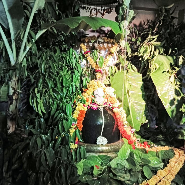 માંગરોળથી સાત કિ.મી.નાં અંતરે આવેલું કામનાથ મહાદેવ મંદિર ૫૦૦૦ વર્ષ પ્રાચીન મંદિર