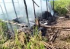 મણીપુરમાં બે કુકી મહિલાઓની હત્યાથી તંગદીલી