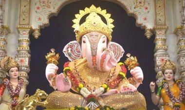 ‘જય ગણેશ જય ગણેશ દેવા...’ જૂનાગઢ સહીત સૌરાષ્ટ્રભરમાં ગણપતિ ઉત્સવ ઉજવવા ભારે ઉત્સાહ