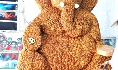 આસ્થા સન્માન સાથે પર્યાવરણ સંરક્ષણ અને જળચર જીવસૃષ્ટીને આહાર : વેરાવળમાં ભાખરવડીના ગણપતિ