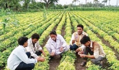 સમગ્ર સૌરાષ્ટ્રમાં સર્વત્ર ૧ થી પાંચ ઈંચ સાવર્ત્રિક વરસાદથી મુરજાતી મોલાતને જીવતદાન મળી ગયું