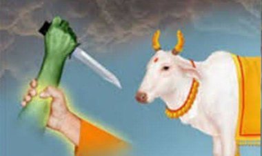 માંગરોળમાં મકાનમાંથી કતલખાનું ઝડપાયું : આરોપી રફૂચક્કર