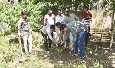 જૂનાગઢ પ્રાદેશિક માહિતી કચેરીમાં ‘સેવા સંકલ્પ અભિયાન’, સફાઈ સાથે વૃક્ષારોપણ કરી પર્યાવરણ જતનનો સંદેશ