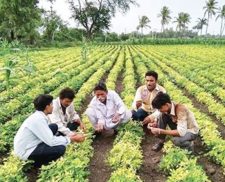 સમગ્ર સૌરાષ્ટ્રમાં સર્વત્ર ૧ થી પાંચ ઈંચ સાવર્ત્રિક વરસાદથી મુરજાતી મોલાતને જીવતદાન મળી ગયું