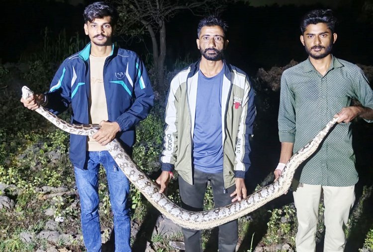બોસન ગામની વાડીમાંથી અંદાજે ૯ ફૂટ લાંબા અજગરનું રેસ્ક્યૂ