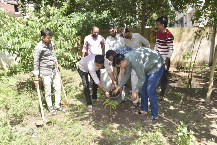 જૂનાગઢ પ્રાદેશિક માહિતી કચેરીમાં ‘સેવા સંકલ્પ અભિયાન’, સફાઈ સાથે વૃક્ષારોપણ કરી પર્યાવરણ જતનનો સંદેશ