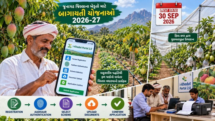 જૂનાગઢમાં બાગાયતી પાકોની નવી યોજનાઓ માટે 30 સપ્ટેમ્બર સુધી અરજીની તક