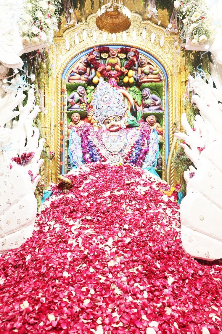શ્રી કષ્ટભંજનદેવ દાદાનું દિવ્ય રાજોપચાર પૂજન કરાયું