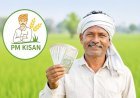 આવતીકાલે ૯.૩૪ કરોડ કિસાનોના ખાતામાં રૂા.ર૦૦૦ જમા થશે : દિવાળીની ભેટ