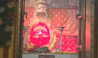 ગિરનારના અંબાજી મંદિરે આસો સુદ આઠમની ભવ્ય ઉજવણી, વિશેષ યજ્ઞ અને હવનમાં શ્રદ્ધાળુઓએ આપી આહુતિ