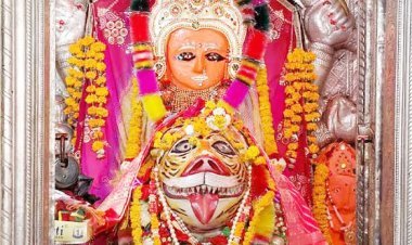 જૂનાગઢના ગિરનાર દરવાજા નજીક આવેલા પૌરાણિક શ્રી વાઘેશ્વરી માતાજીના મંદિરે આસો સુદ આઠમ નિમિત્તે યજ્ઞ યોજાયો